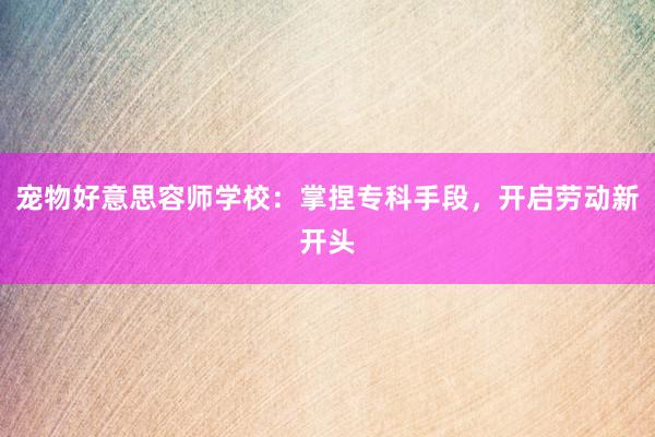 宠物好意思容师学校：掌捏专科手段，开启劳动新开头