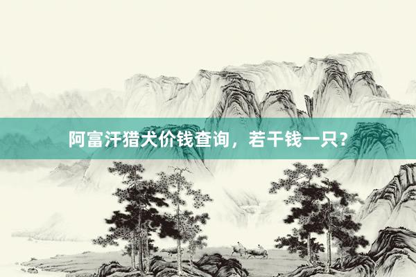 阿富汗猎犬价钱查询，若干钱一只？