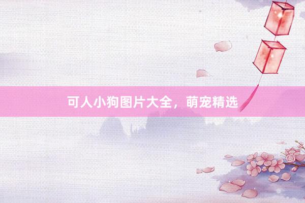可人小狗图片大全，萌宠精选