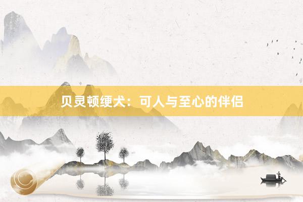 贝灵顿绠犬：可人与至心的伴侣